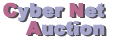 Cyber Net Auction